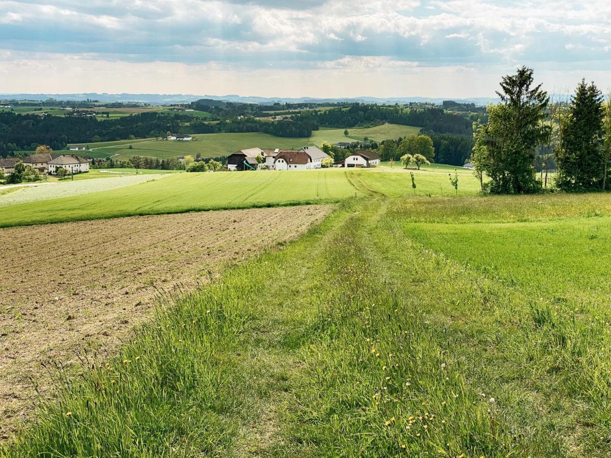 Grainmeisterhof Niederwaldkirchen Extérieur photo