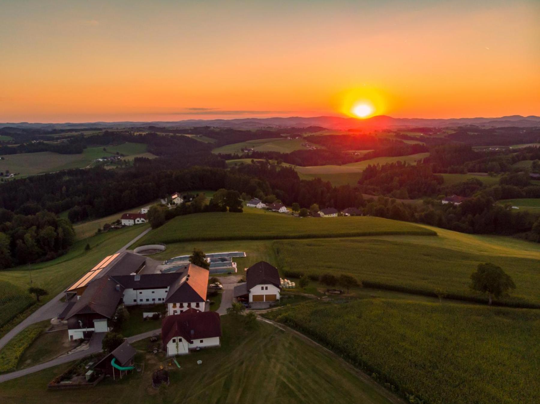Grainmeisterhof Niederwaldkirchen Extérieur photo